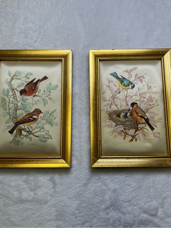U. Selis Other - Vintage Italian U. Selis Bird Silk Prints Gold Gilt Frames Pair - Made in Italy